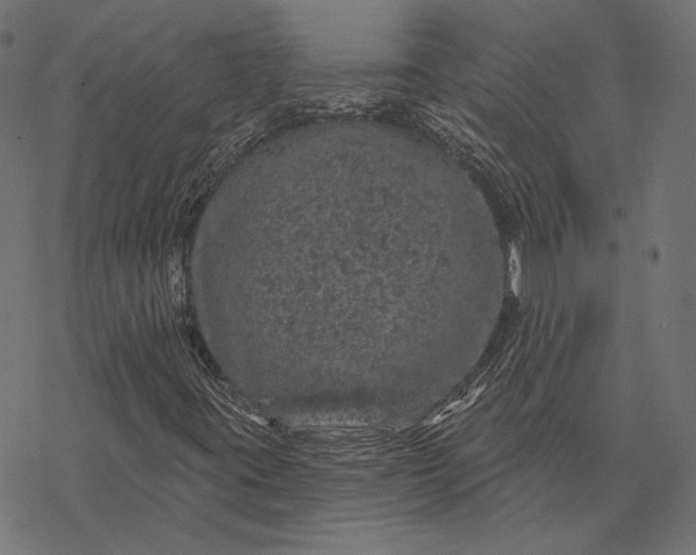 X0000077311395200611031629