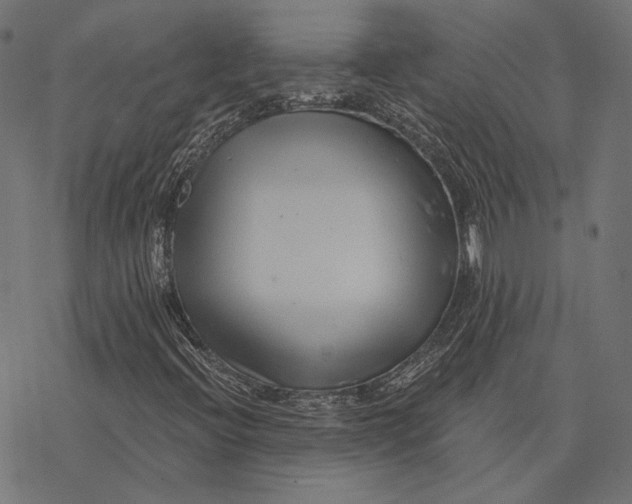 X0000077311396200611031629