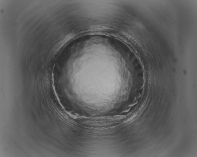X0000077311401200611031629