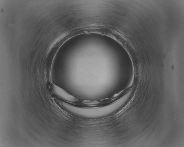 X0000077311402200611031629