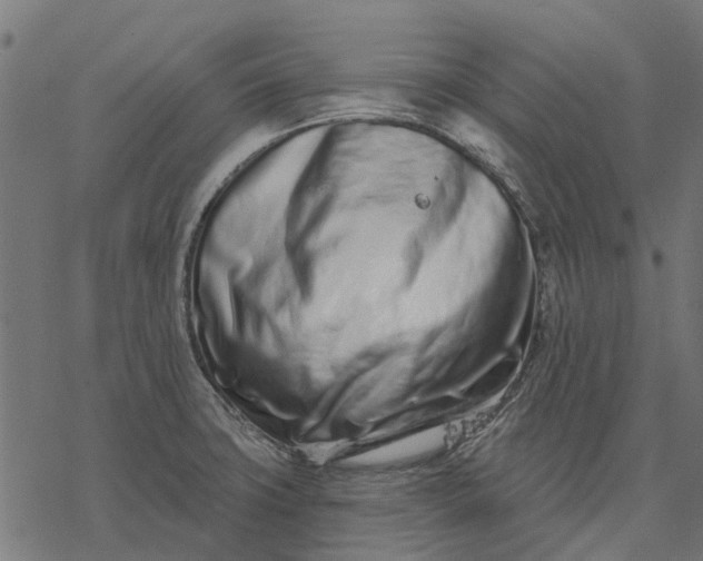 X0000077311427200611031629