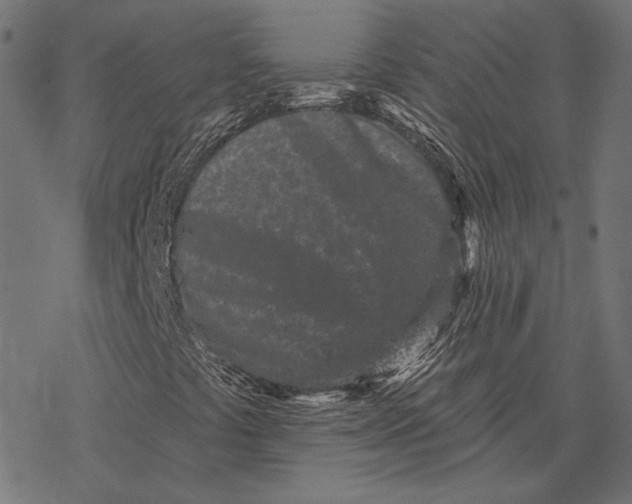 X0000077311441200611031629
