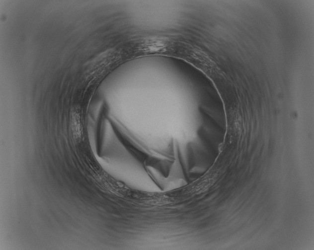X0000077311442200611031629
