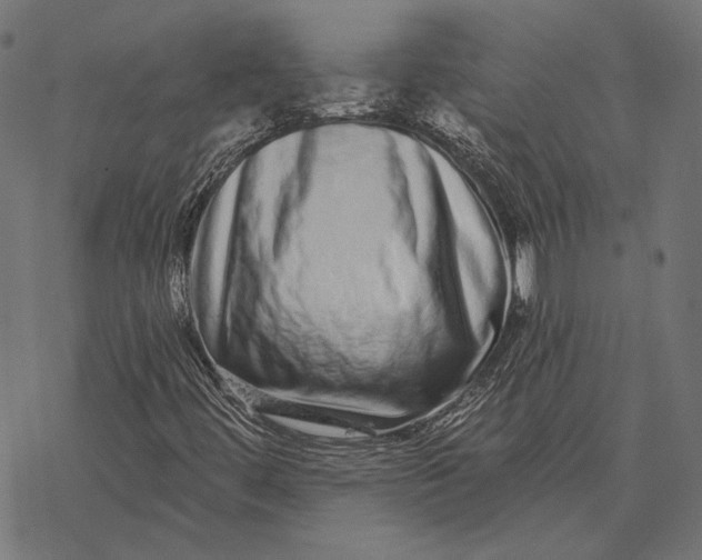 X0000077311444200611031628