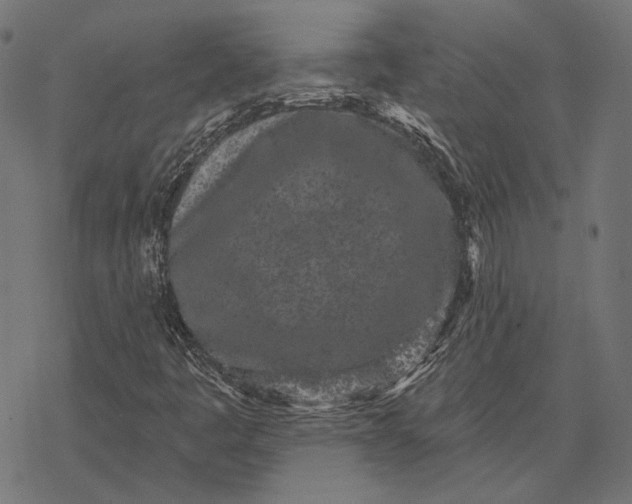 X0000077311445200611031628