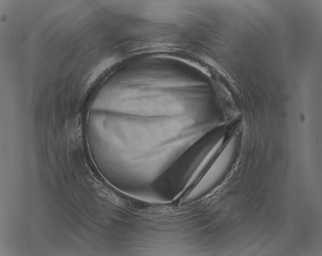 X0000077311450200611031628