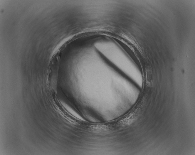 X0000077311452200611031628