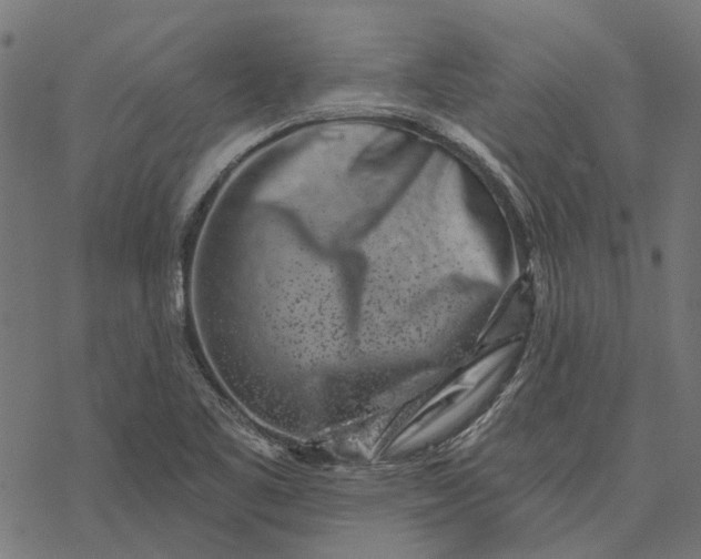 X0000077311461200611031628