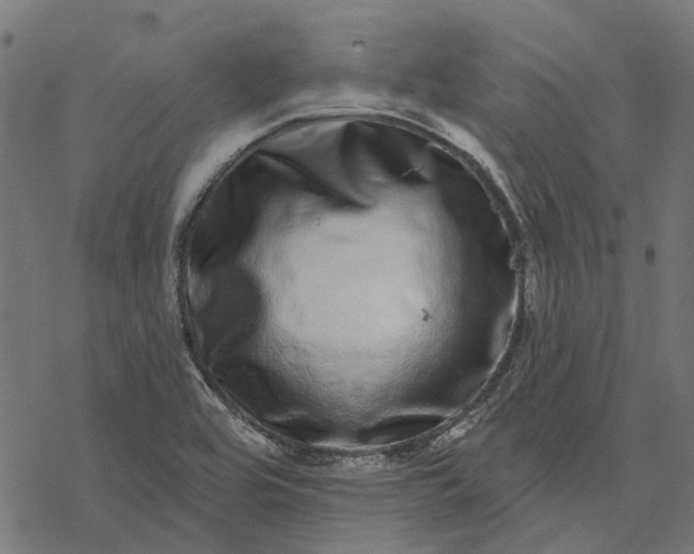 X0000077311464200611031628