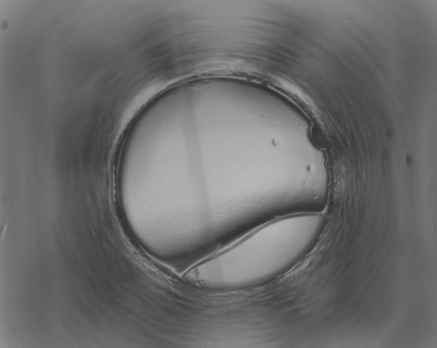 X0000077311467200611031628