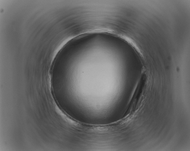 X0000077311476200611031628