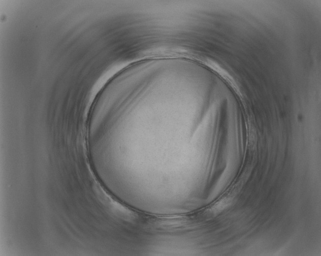 X0000077311486200611031628