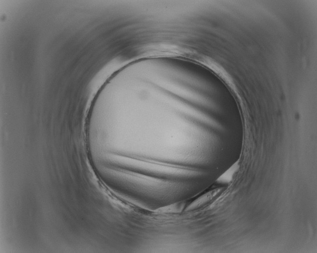 X0000077311488200611031628