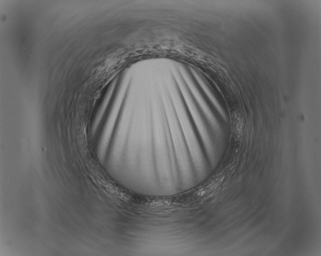 X0000077311489200611031627