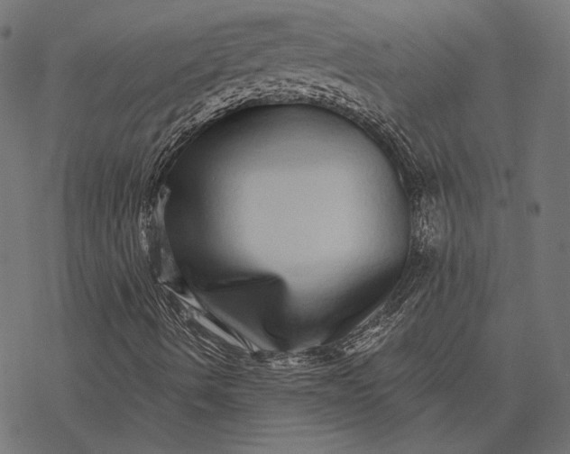 X0000077311490200611031627
