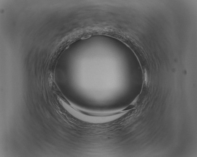 X0000077311492200611031627