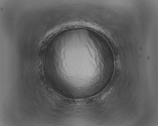 X0000077311494200611031627