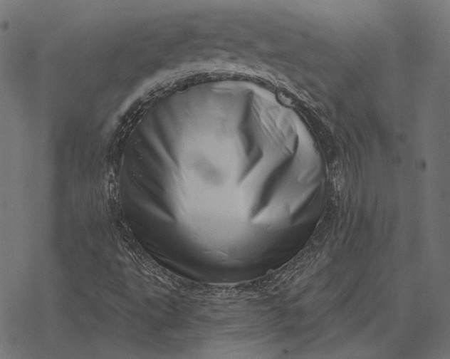 X0000077311495200611031627