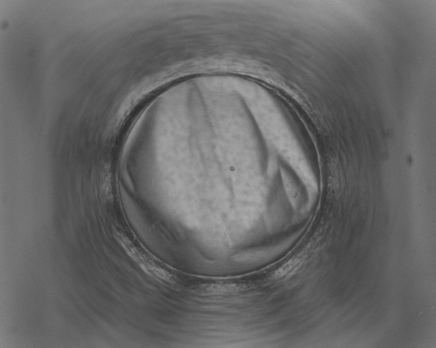 X0000077311499200611031627
