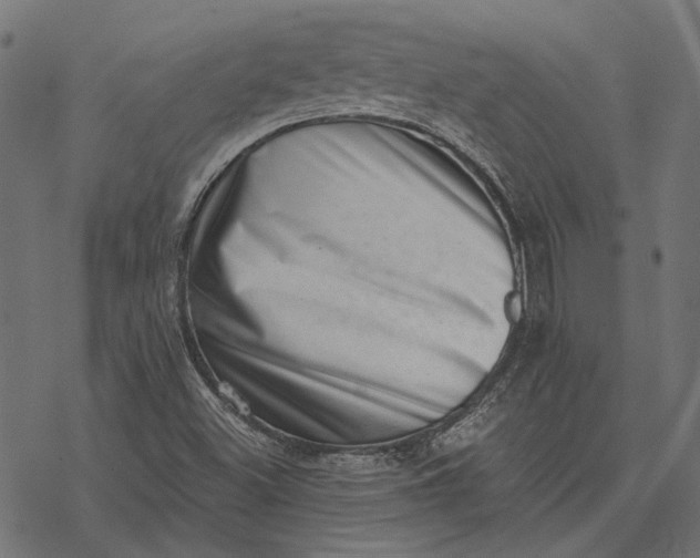 X0000077311500200611031627