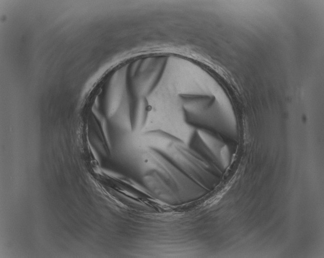 X0000077311502200611031627