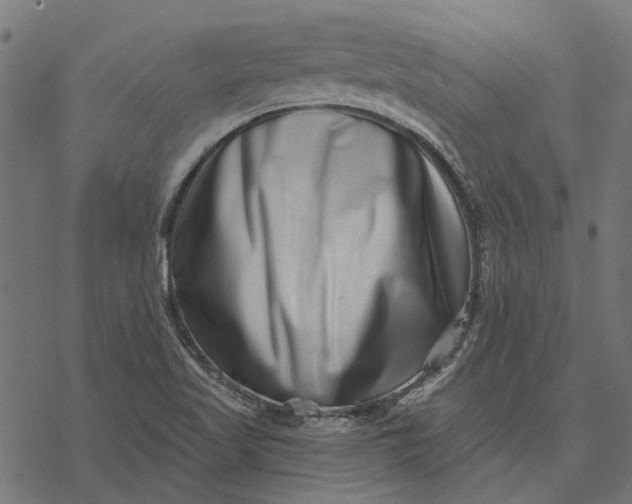 X0000077311509200611031627