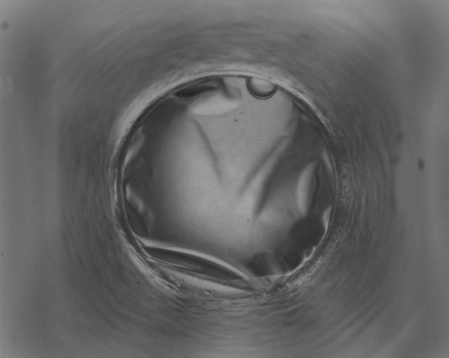 X0000077311511200611031627