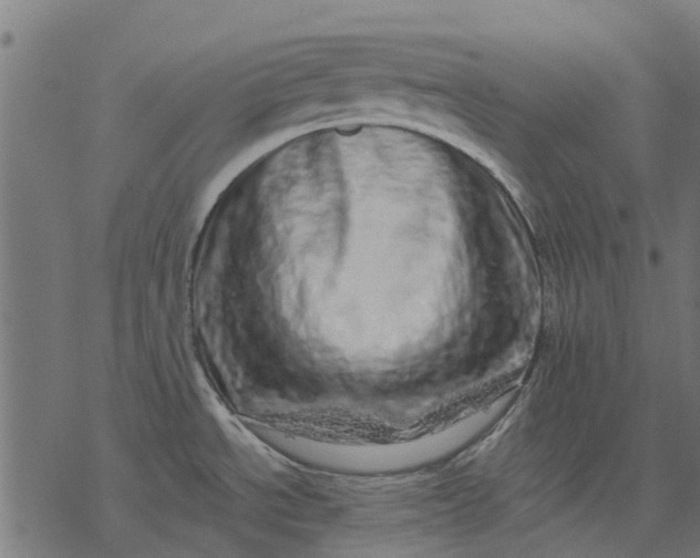 X0000077311534200611031628