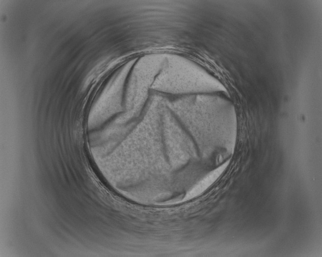 X0000077310002200611101445