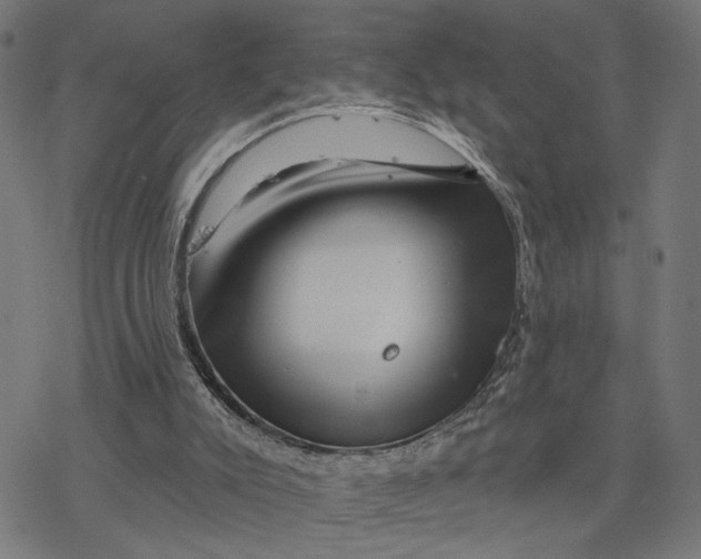 X0000077310007200611101444