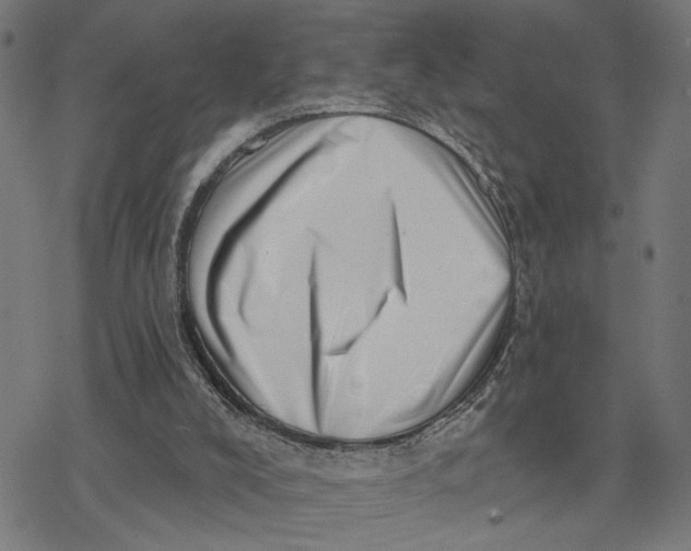 X0000077310008200611101444