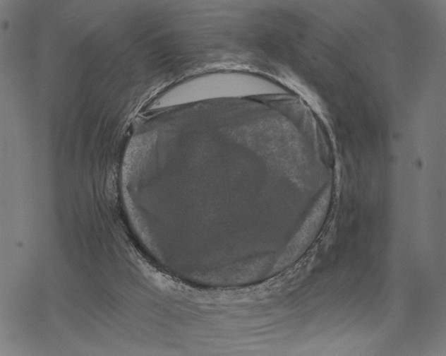 X0000077310009200611101444