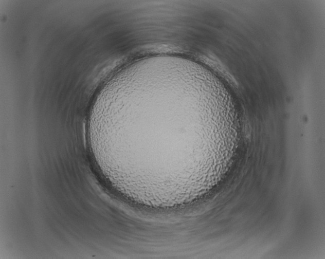 X0000077310014200611101444