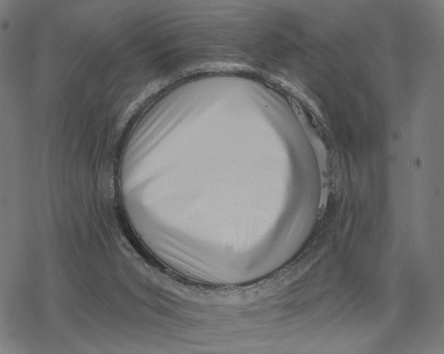 X0000077310015200611101444