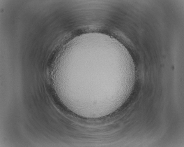 X0000077310022200611101444
