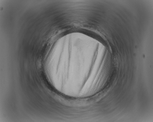 X0000077310032200611101444