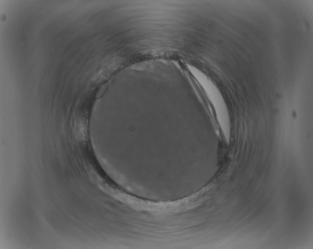 X0000077310039200611101444