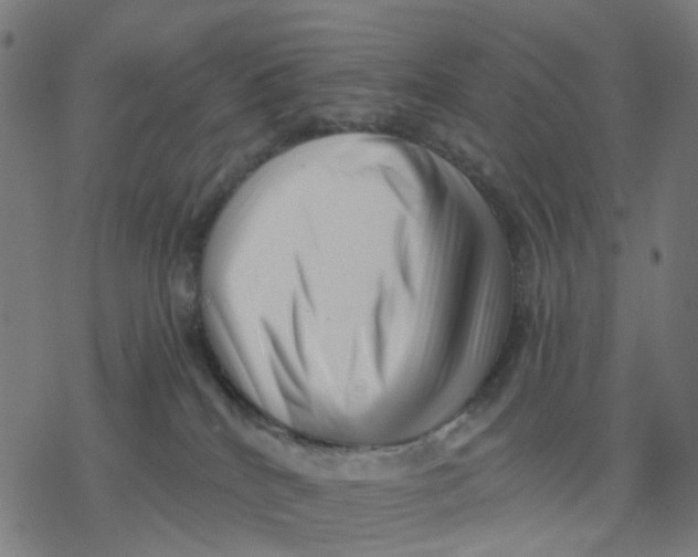 X0000077310040200611101444