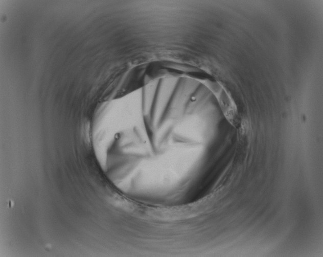 X0000077310041200611101444