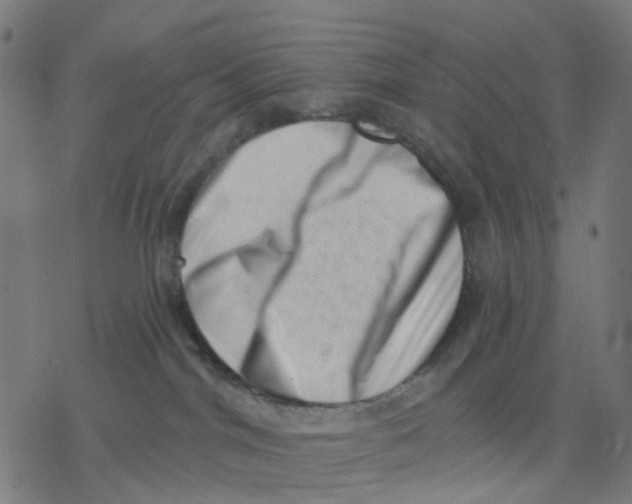X0000077310044200611101444