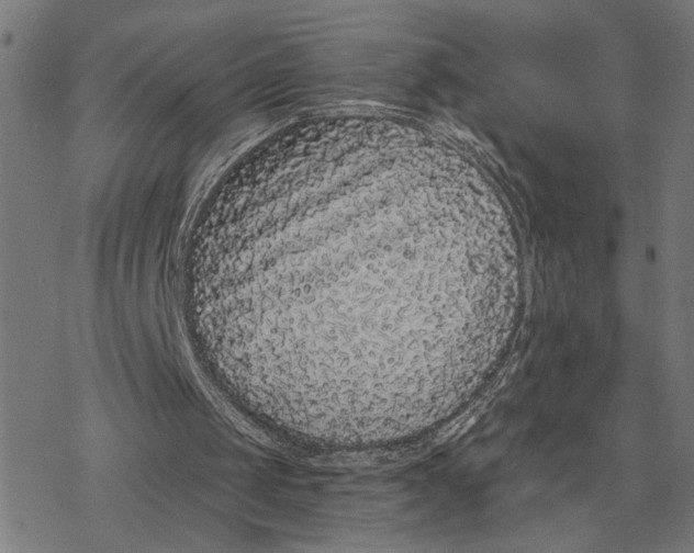 X0000077310049200611101443