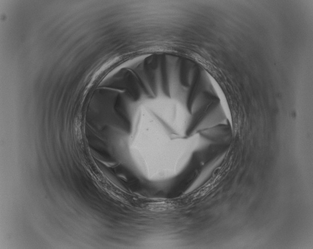 X0000077310050200611101443