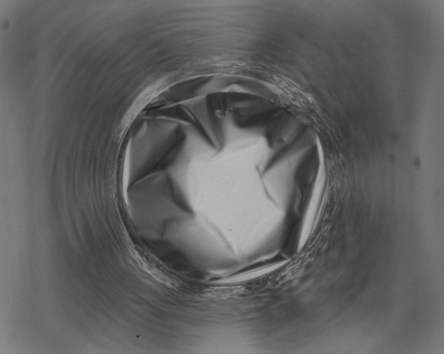 X0000077310051200611101443