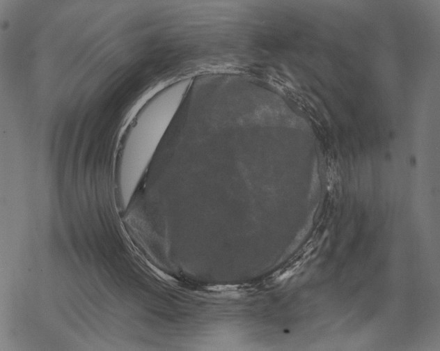 X0000077310052200611101443