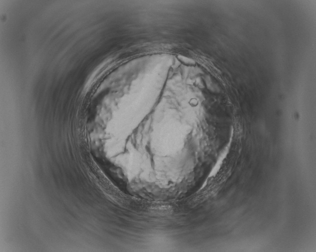 X0000077310053200611101443