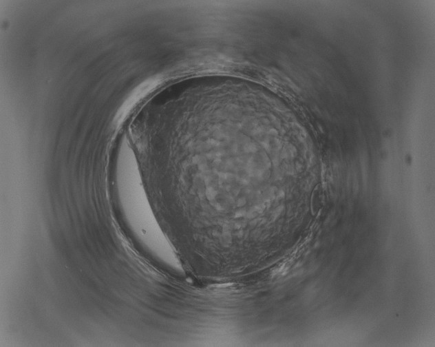 X0000077310054200611101443
