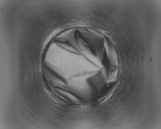 X0000077310056200611101443