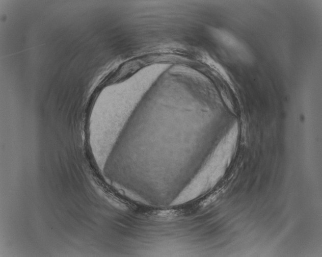 X0000077310059200611101443