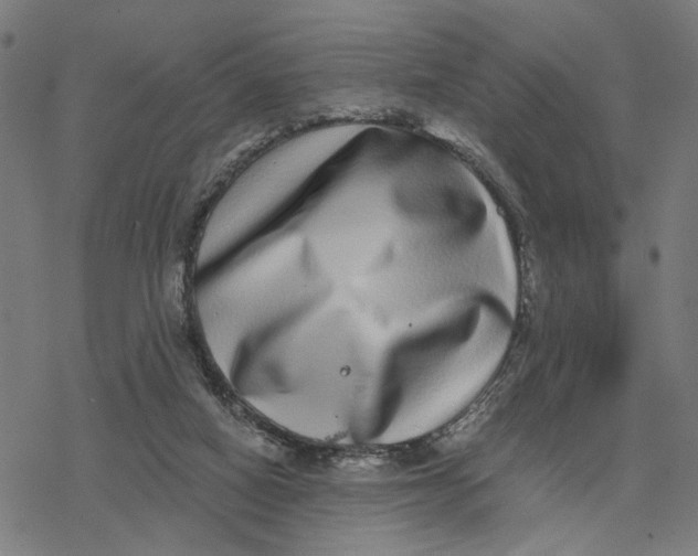 X0000077310066200611101443