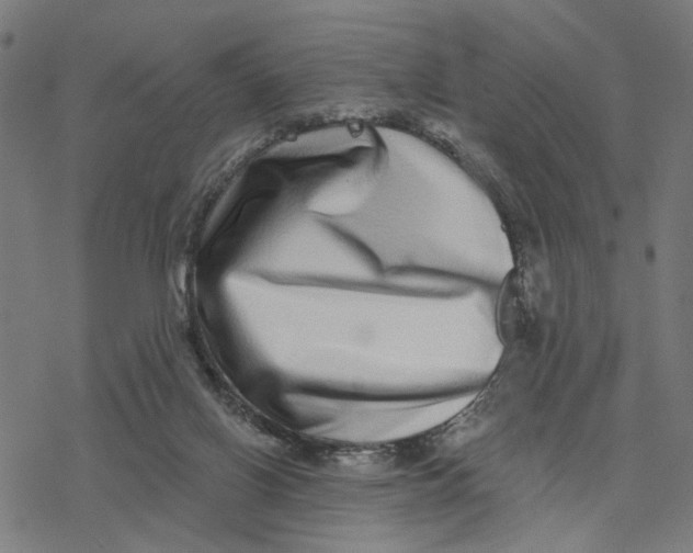 X0000077310070200611101443